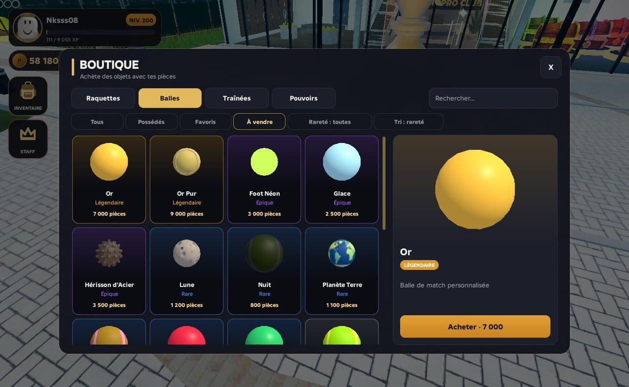 L’interface de la boutique : balles en modèles 3D